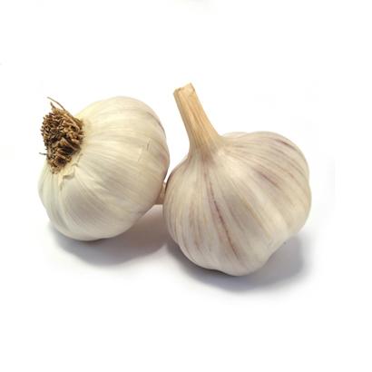 Organic Garlic Oil